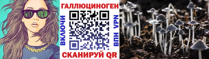 наркотики  Рязань  Псилоцибиновые грибы Magic Shrooms 