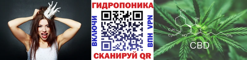 даркнет сайт Рязань Шишки марихуана план